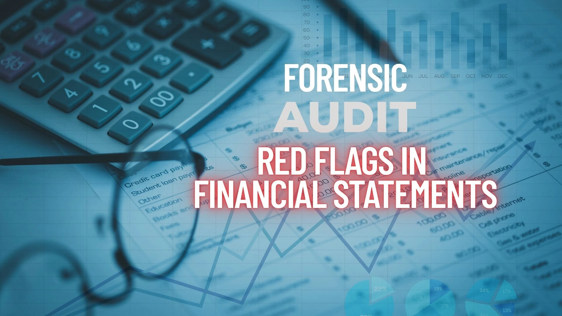 Red Flags in Financial Statements: Balance Sheet & P&L
